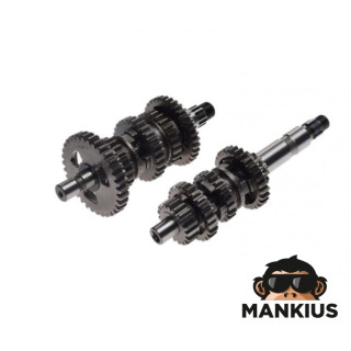MAIN AND COUNTER SHAFT ASSY FOR ATV BASHAN BS250S-5