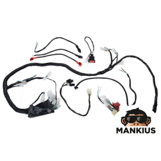 WIRE HARNESS FOR ATV BASHAN BS250S-5