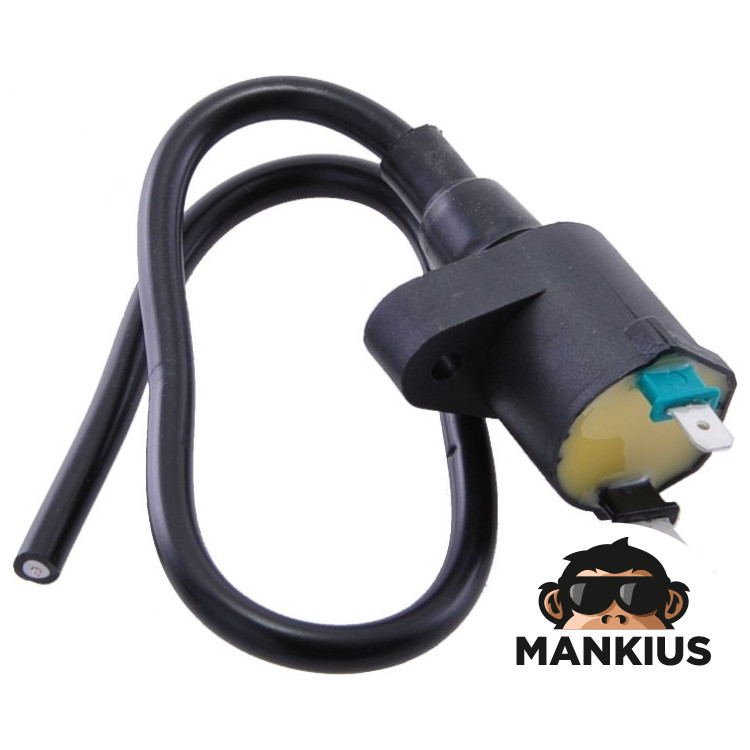 IGNITION COIL HONDA PEUGEOT TAIWAN