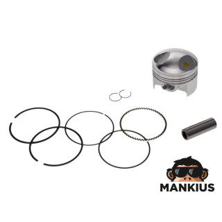 54,00/13/19 PISTON AND RING SET