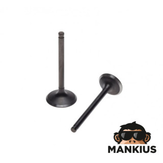 INTAKE AND EXHAUST VALVE SET