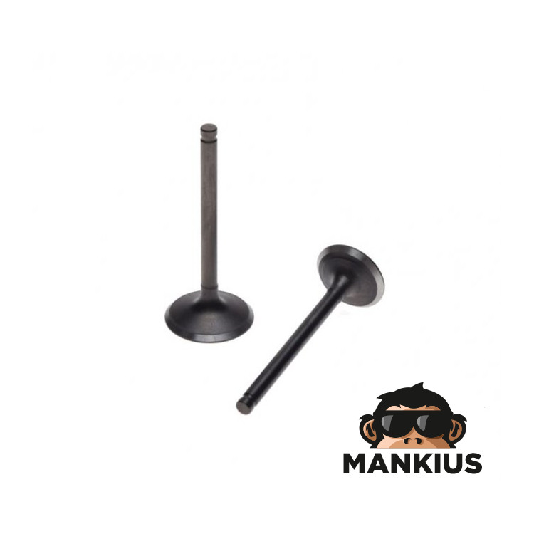 INTAKE AND EXHAUST VALVE SET