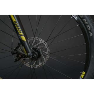 DVIRATIS GUST Excell Yellow 29"