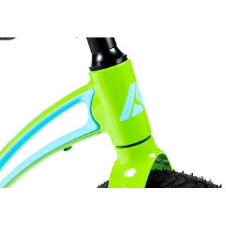Balansinis dviratukas Karbon First green-blue